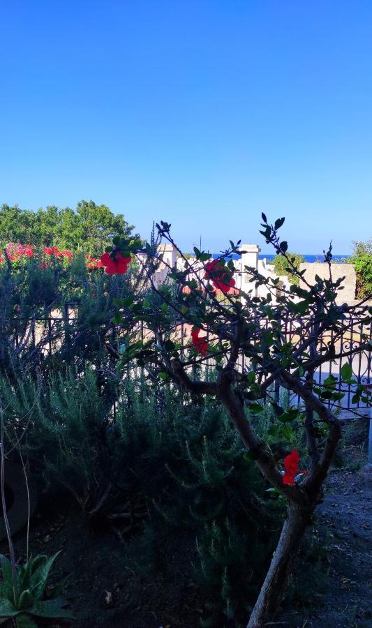 Holiday Home Mennulita リーパリ エクステリア 写真