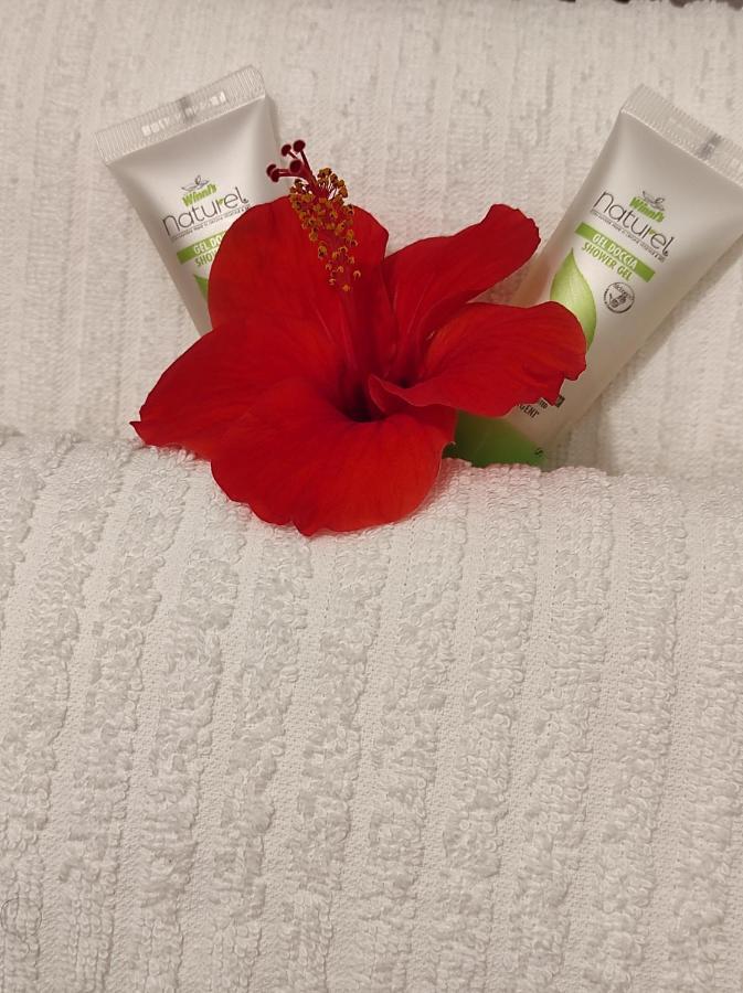 Holiday Home Mennulita リーパリ エクステリア 写真
