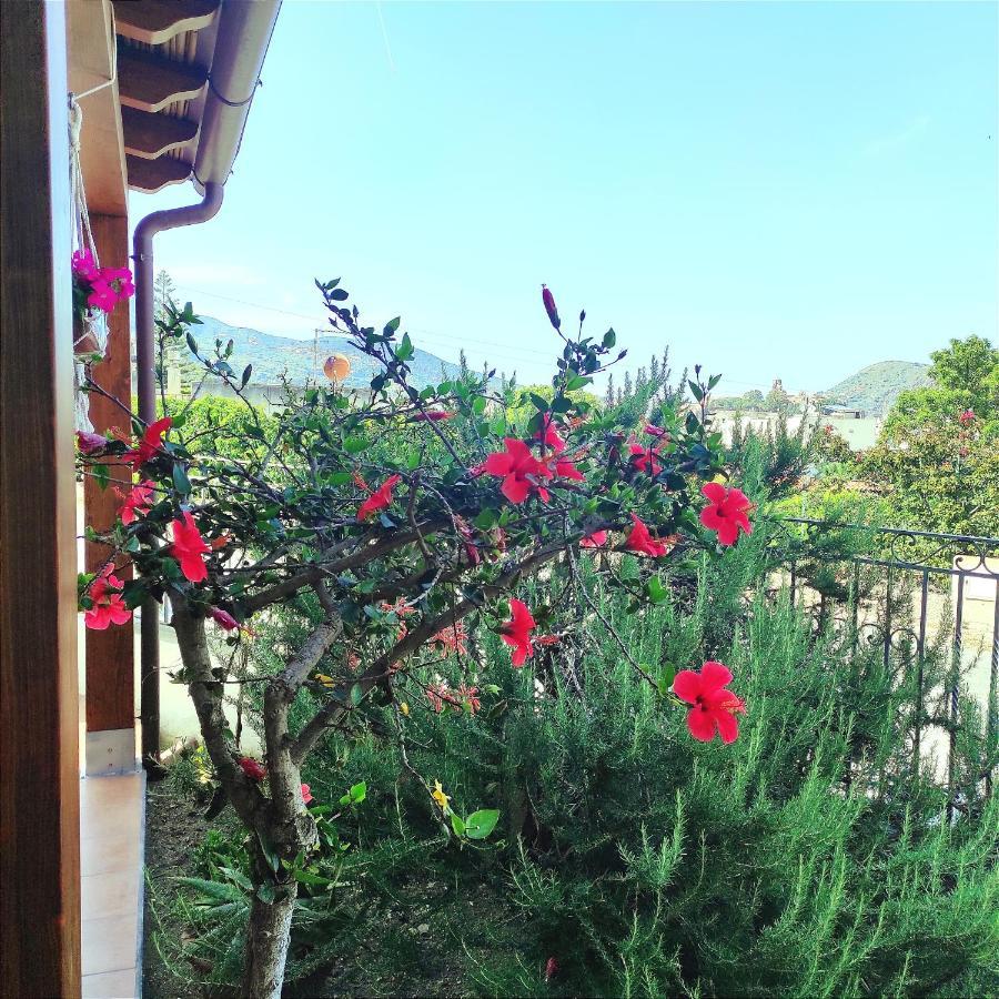 Holiday Home Mennulita リーパリ エクステリア 写真