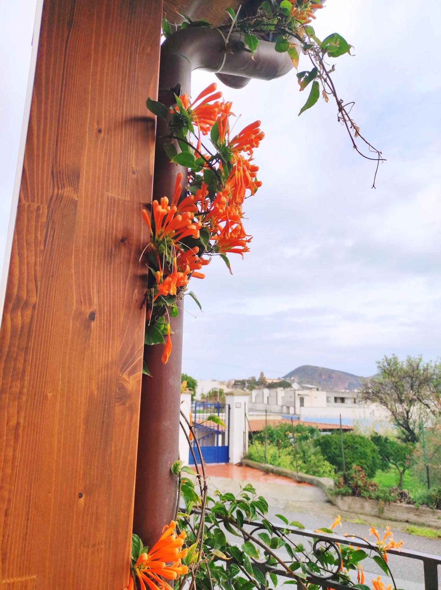 Holiday Home Mennulita リーパリ エクステリア 写真