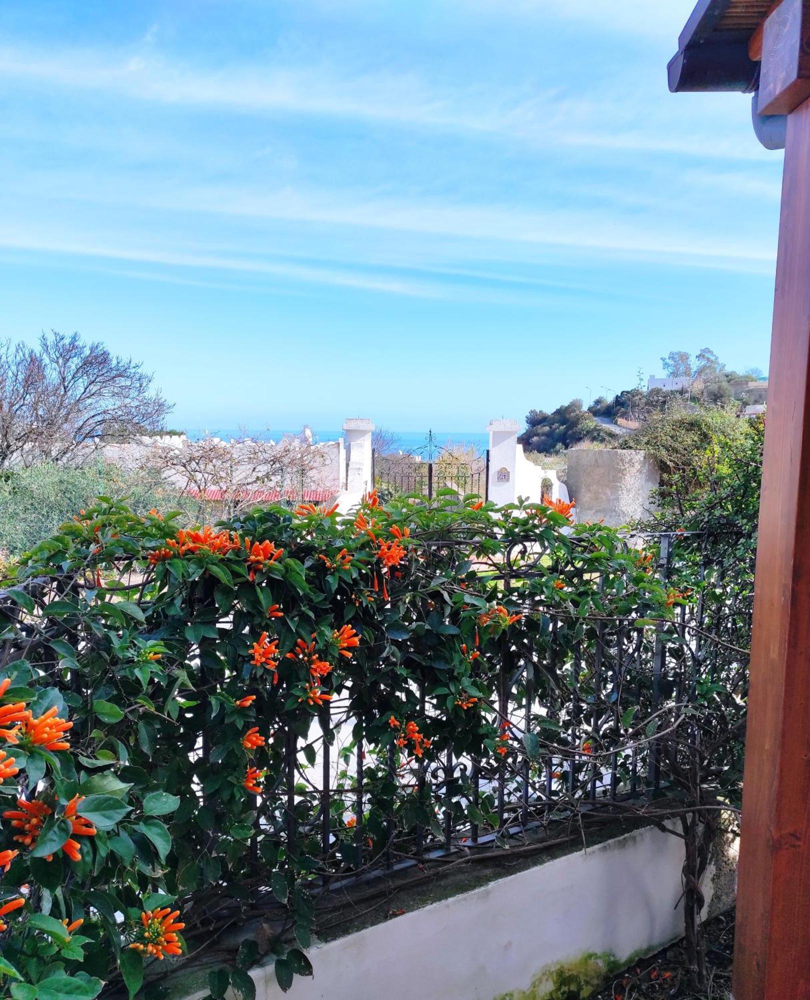 Holiday Home Mennulita リーパリ エクステリア 写真